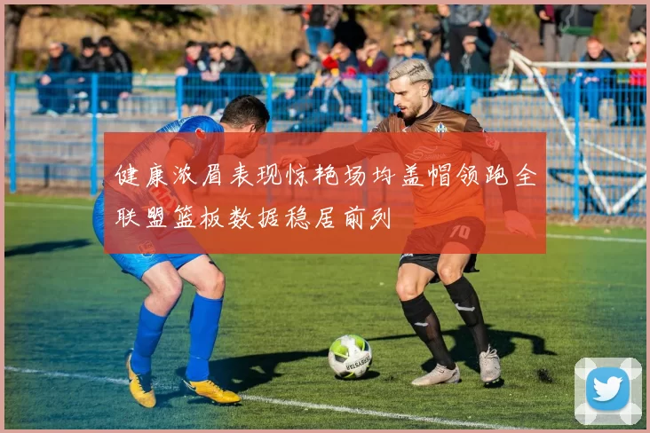 健康浓眉表现惊艳场均盖帽领跑全联盟篮板数据稳居前列